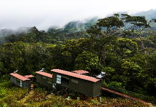 The Rainforest Ecolodge – Sinharaja