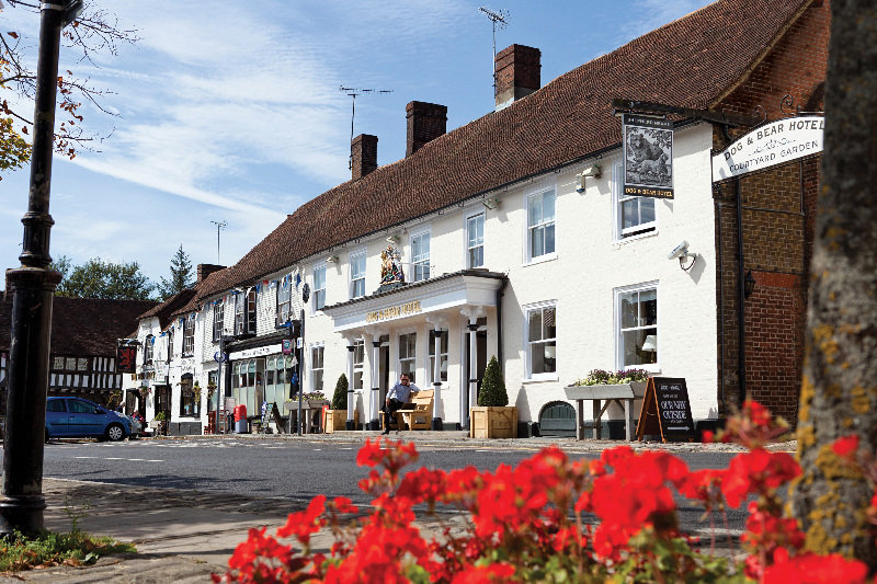 General view
 di Dog & Bear