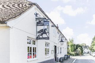 New Flying Horse
