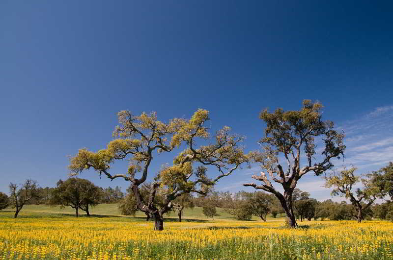General view
 di Zmar Eco Campo