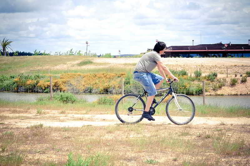 Sports and Entertainment
 di Zmar Eco Campo