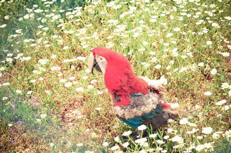 Sports and Entertainment
 di Zmar Eco Campo