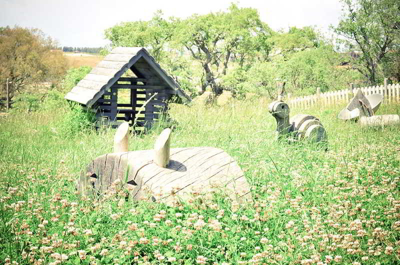 Sports and Entertainment
 di Zmar Eco Campo