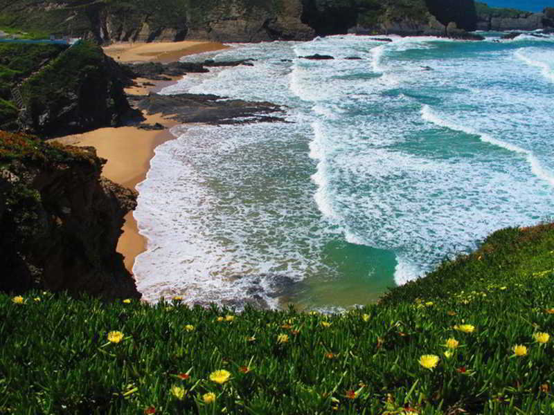 Beach
 di Zmar Eco Campo