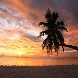 Canareef Resort Maldives