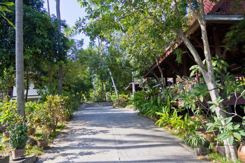 General view
