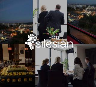 Economy Silesian Hotel - Konferenz