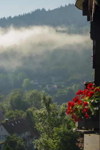 Krahenbad Hotel, Freudenstadt