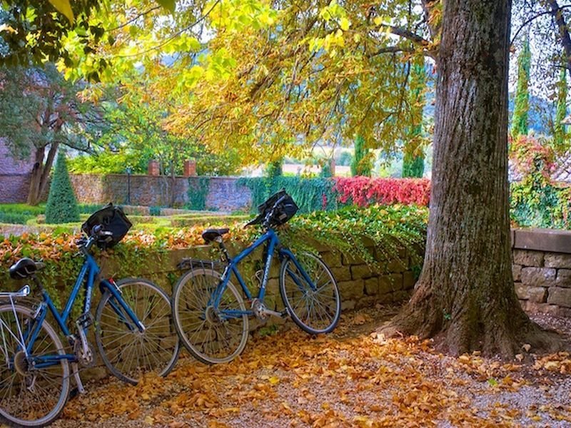 Sports and Entertainment
 di Villa Di Piazzano