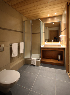 Chalet des Neiges Arolles, French Alps