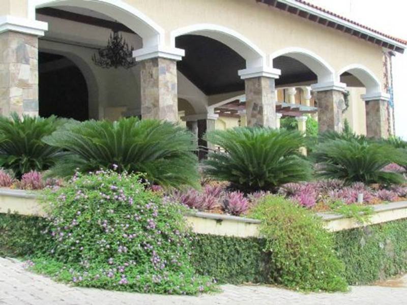 General view
 di Bonjour Bonheur Ocean Spray