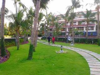 General view
 di Bonjour Bonheur Ocean Spray