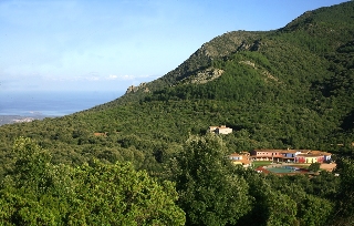General view
 di Orlando Resort