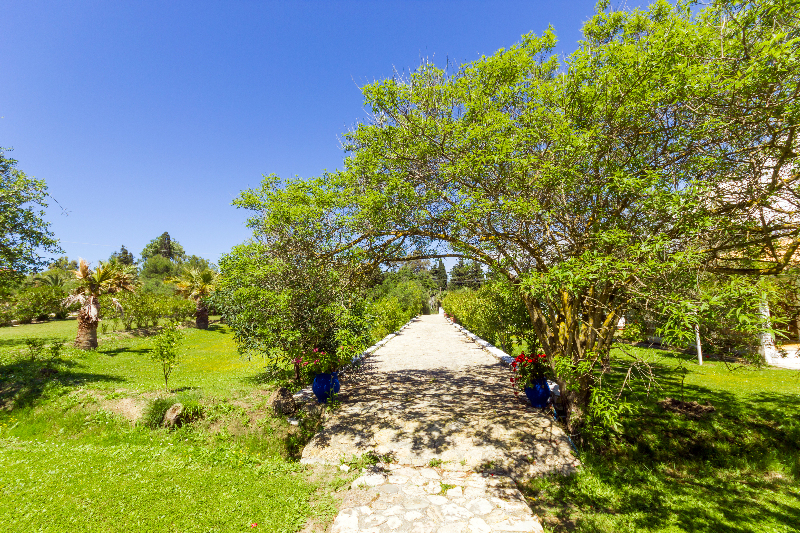 General view
 di Liuba Houses