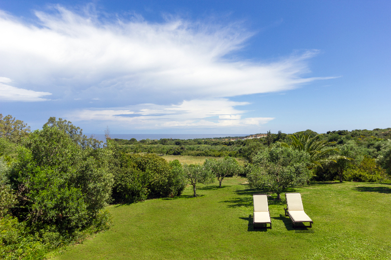 General view
 di Liuba Houses