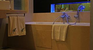 General view
 di The Fern - An Ecotel Hotel, AHMEDABAD