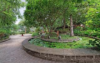 The Fern Gir Forest Resort