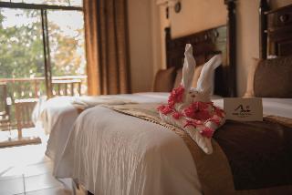 Room Room