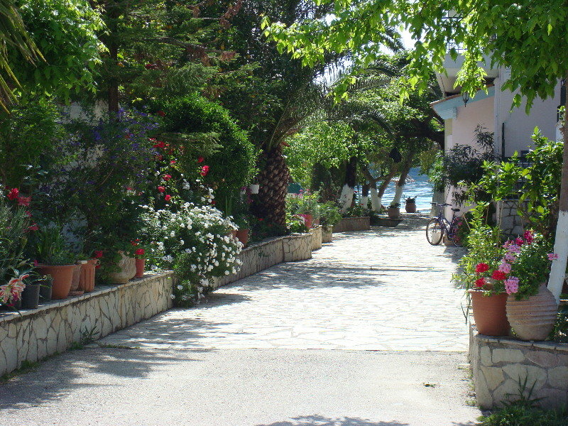 General view
 di Delfini