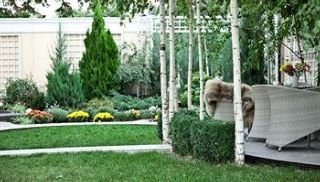 Terrace
 di Dom Aktera hotel