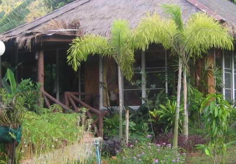 General view thumbnail 11