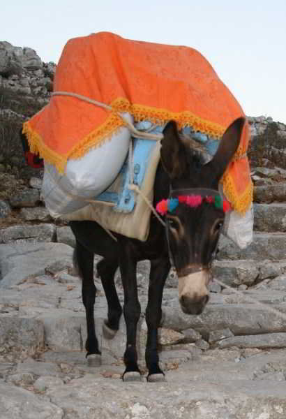 General view
 di Glaros Hotel