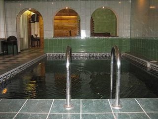 Pool
 di Solovyinaya Roscha