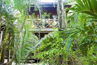 General view
 di Las Rocas Resort & Dive Center