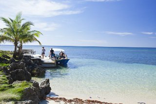 Beach
 di Las Rocas Resort & Dive Center