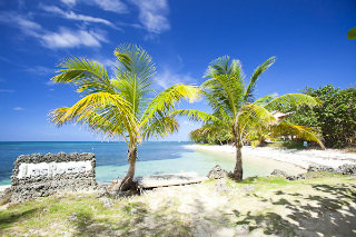 Beach
 di Las Rocas Resort & Dive Center