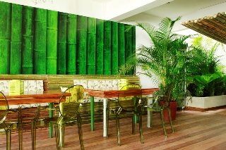 General view
 di Cocoon San Jose