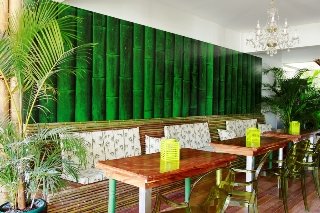 General view
 di Cocoon San Jose