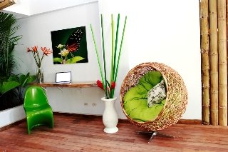 General view
 di Cocoon San Jose