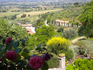 Poggio Degli Olivi (Appartamenti), Perugia