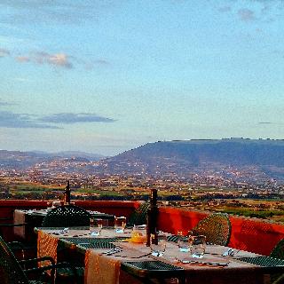 Terrace
 di Poggio Degli Olivi