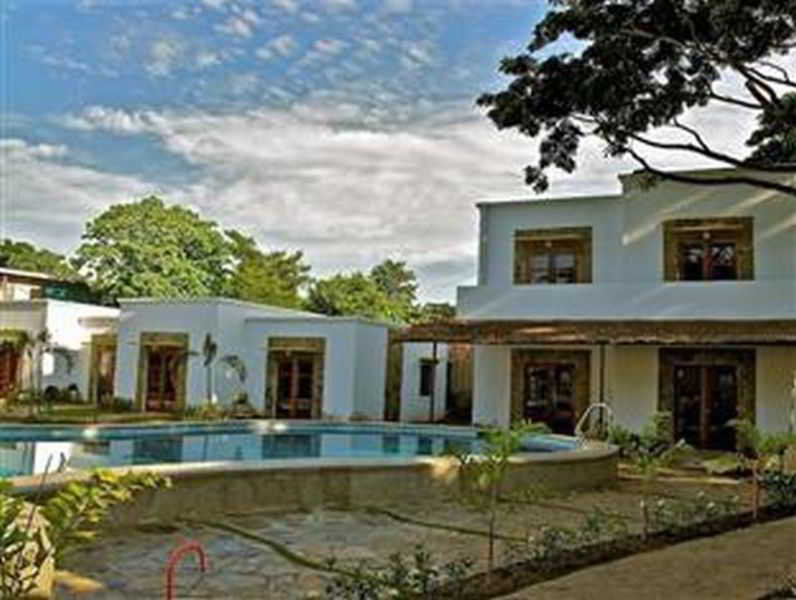 General view
 di Acacia Tree Garden