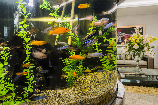 Lobby
 di Egina Medellin