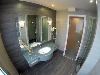 Carol Hotel
