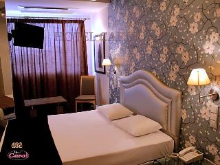Carol Hotel
