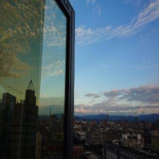 整體概覽