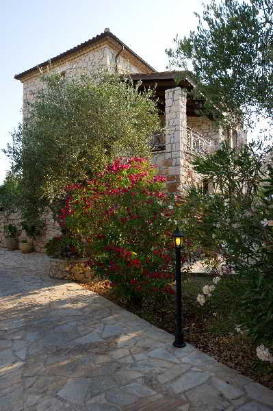 General view
 di Alomata