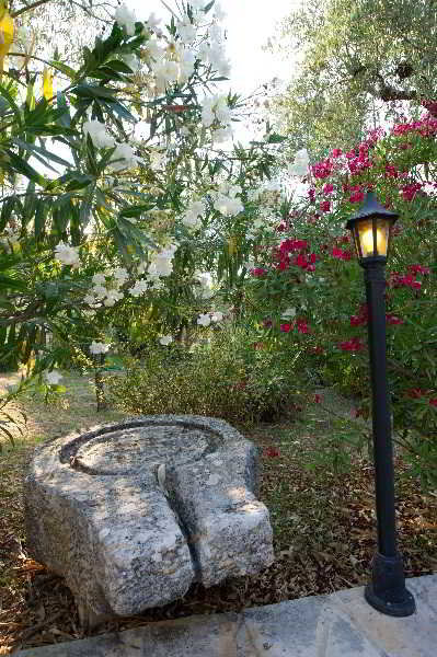 General view
 di Alomata