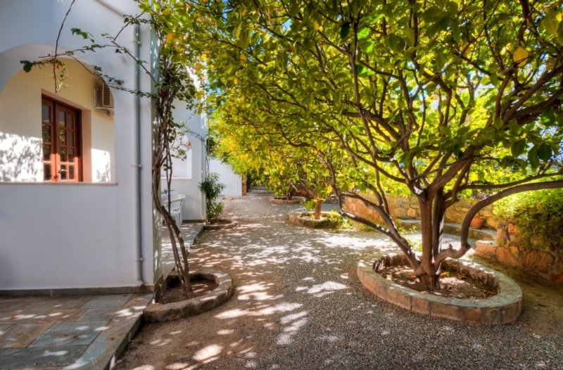 General view
 di Lemon Tree Studios