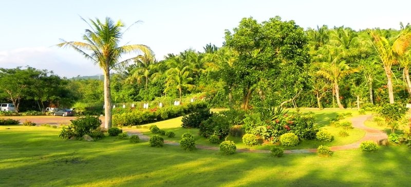 General view
 di Amanda Hotel