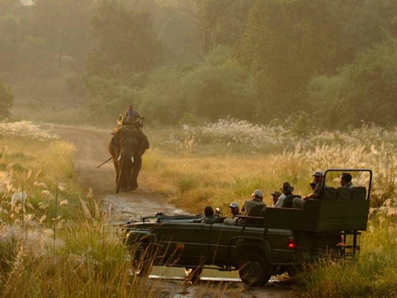 Sports and Entertainment
 di Mahua Kothi