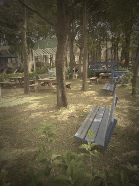 Sports and Entertainment
 di Grace Garden Resort