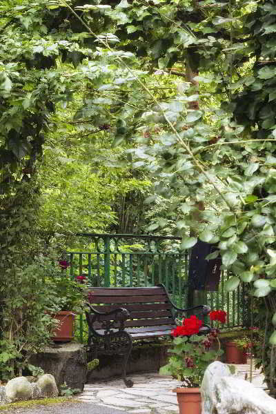 General view
 di El Molino