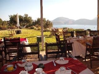 General view
 di Villa Forestata