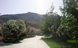 General view
 di Klelia Beach Hotel