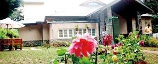 General view
 di Firs Boutique